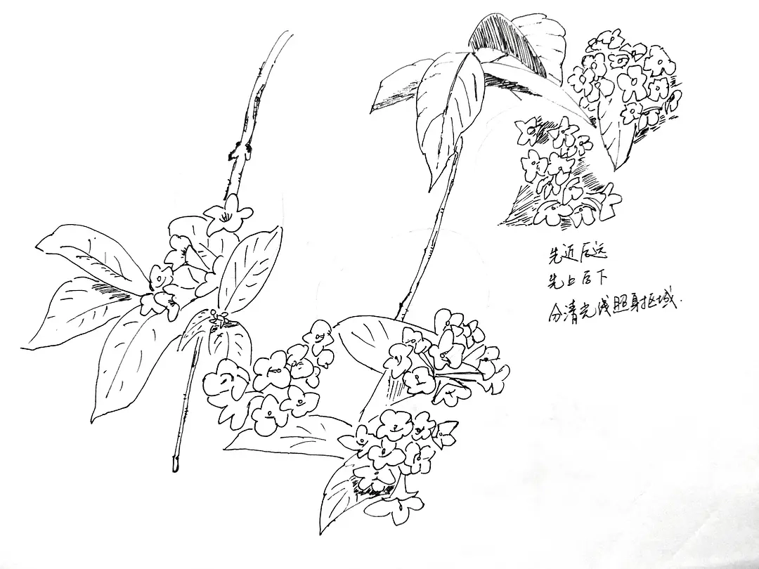 学画画
