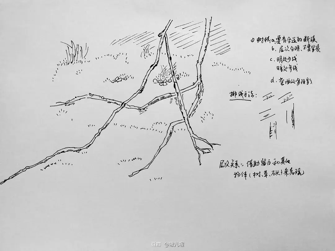 学画画
